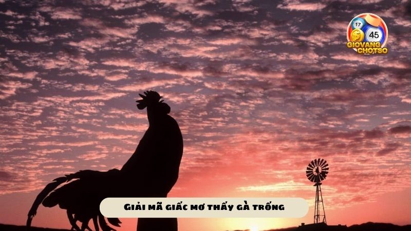 Mơ thấy gà điềm báo gì - Mơ thấy gà đánh lô đề con gì may mắn để ăn